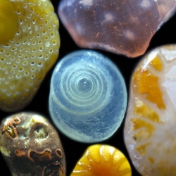 Grains of sand magnified to 250 times real size.