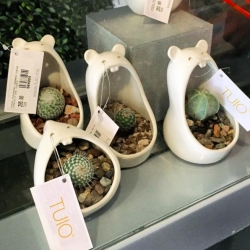TUIO Comelones - adorable little ceramic mexican planter/containers... and those teeth! (Pic from @NOTlabs instagram as we explore Mexico City!)