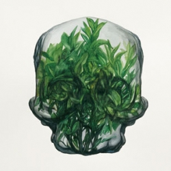 Perspectives and explorations of the human head by Stephan Balleux.