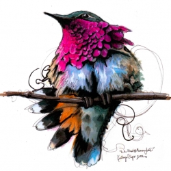 Gorgeous illustration of the Wine-Throated Hummingbird by Paperfashion.