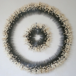 Beautiful Porcupine Quill Circle by Jordan Sullivan, currently on display at underline gallery in NYC