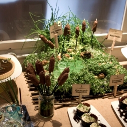 An edible swamp dessert table was created for Hoxton Street Monster Supplies featuring treats such as frog spawn shots, cockroach cupcakes & slimey snails. YUM!