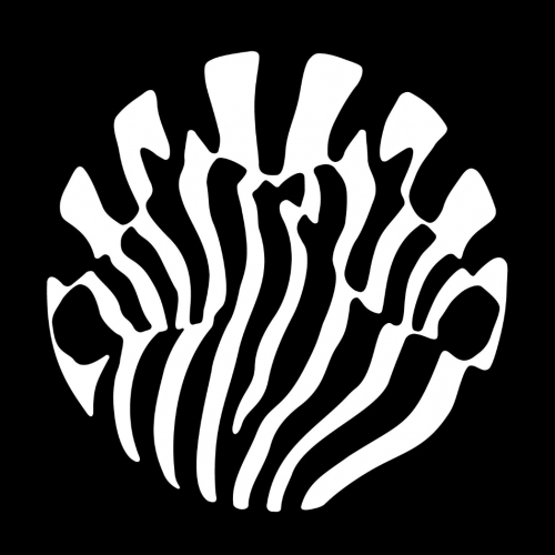 Can't stop staring at this Platoon logo by Pentagram - you can't unsee the hugging zebras once you see it.