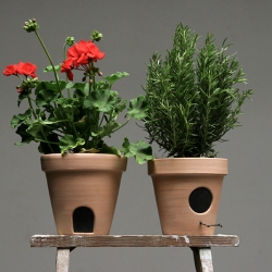 Sergio Mendoza collaboration for TIVD, This Is Very Dangerous, in Lambrate, Milan. A set of two flower pots with figurative homes for tiny friends.