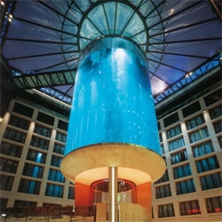 AquaDom at the Radisson SAS Hotel in Berlin is the world largest cylinder aquarium. It holds about 900 000 liters of sea water and some 2600 fishes. Amazing!
