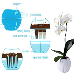 Grobal ~ cultivate style with these new self watering pots ~ Invented by Treg Bradley and designed with the high-gloss biomorphism of superstar Karim Rashid