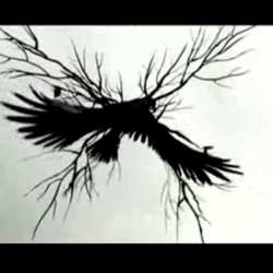 Psyop’s crow animation is black & white & super slick