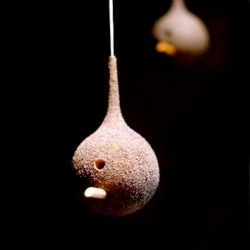 Examining post mortem issues ~ Nadine Jarvis' bird feeder is made from bird food and human ash! "The person is reincarnated through the life of the bird."