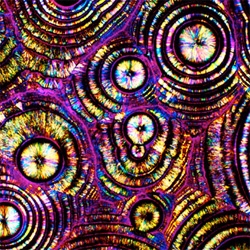 That is a photograph of a Vodka Tonic under the microscope - See many other popular drinks as well at Molecular Expressions: The Cocktail Collection
