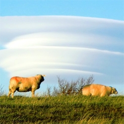 Rare lens-shaped lenticular clouds over West Yorkshire.