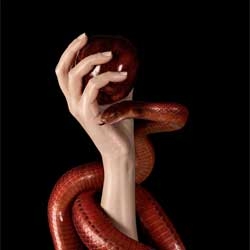 Gorgeous Natura Si series of serpents and apples by Winkler + Noah for Ogilvy.