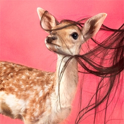 The NYtimes takes a look at Ryan McGinley's Menagerie.