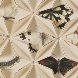 Between Folds / British Butterflies, a beautiful work by Francisca Prieto displays all of the plates from A History of British Butterflies by the Rev. F.O. Morris, B.A., fifth edition, 1870.