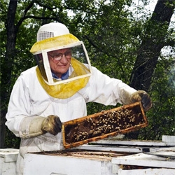 Wired Science on honey counterfeiters!