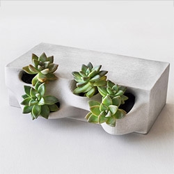 Emerging Objects' Planter Brick. 3D printed concrete bricks ready to grow in! Perfect for succulents, strawberries, etc... Emerging Objects is the research arm of RAEL SAN FRATELLO ARCHITECTS.