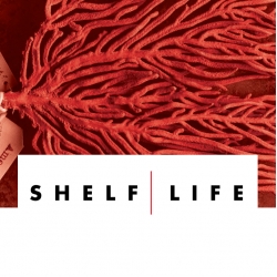 Shelf Life from the American Museum of Natural History. The first episode offers a look at the 33 million things inside the museum!
