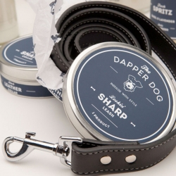 Cute branding and packaging project, The Dapper Dog from Adam Rogers of the Savannah College of Art and Design (SCAD).