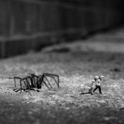 Stranger Danger - little people with big dreams. Video profile/interview with London-based miniature fanatic and street artist Slinkachu.