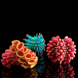 Jessica Rosenkrantz of Nervous System's Colonies and Barnacles, 3D printed forms that resemble oceanic organisms such sea anemone, coral and barnacles.