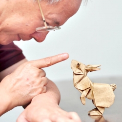 Surface to Structure, an exhibition celebrating origami planned at New York's Cooper Union by Uyen Nguyen.