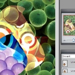 Pixlr is a online image editor, that means that you can upload your images and edit them in your browser. It is built in Flash and you need to have a Flash plug in to get it to work.