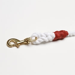 Best Made Parade Lead for your stylish four legged friends.
