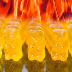 Evil hot gummy bears, these gummies are Habanero chilli-infused.