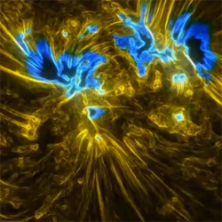 Incandescent Sun, a beautiful video from NASA which takes SDO images and applies additional processing to enhance the structures visible.