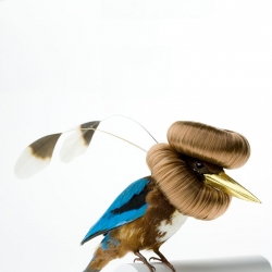 New Zealand's Kar­ley Feaver gives taxidermy mounted birds even more bizarre hairstyles.