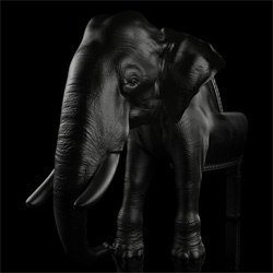 Maximo Riera adds an elephant to his animal chairs collection.