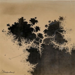 The beautiful lost fractals of Benoît Mandelbrot.