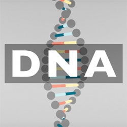 Beautiful 3 minute animation explaining DNA for BBC Knowledge from Territory.