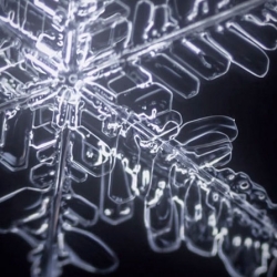 Watch a micoscopic timelapse as a single snowflake forms.