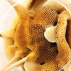 Beautiful hive structures from Ren Ri, a Beijing-based beekeeper and artist.