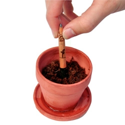 Sprout, a pencil with a seed. When the pencil becomes too short to use, you can plant it to grow herbs! Concept by democratech.