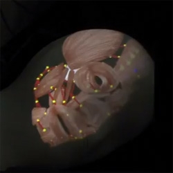 A creepy, but fascinating interactive virtual anatomical model using a projector and sensors from Gifu University.