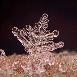 Beautiful macro photos of snowflakes by Andrew Osokin.