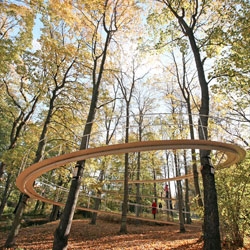 A path in the forest by Tetsuo Kondo. Beautiful walkway situated in Kardiorg Park, an urban forest, 15-minutes' walk from the Old City of Tallinn.