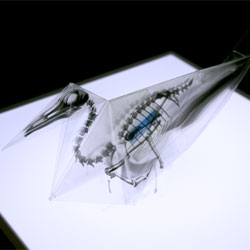 'Oritsunagumono', Takayuki Hori’s incredibly beautiful x-ray origami animals.