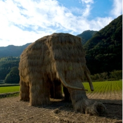 Love this mammoth made from rice straw that was part of the 2010 Triennial Setouchi Art Festival.