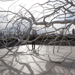 Roxy Paine creates stainless-steel trees, faux fields of poppies and mushrooms, and robotic machines that make monochromatic art.