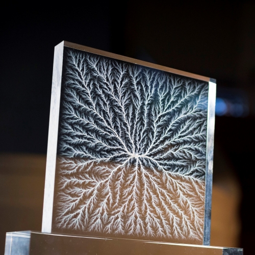 Wellcome Book Prize for literature that engages with the human experience of medicine and medical science. This year’s trophy: a bespoke creation inspired by the nerve cells of the mind, from London-based artist, Kyle Bean.