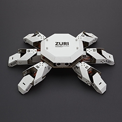 Zoobotics ZURI is a programmable robot made from paper and grey cardboard.