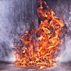 Photographs of fire by Troy Moth.