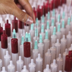 950+ Syringes & Needles creating 'Vida' a typographic installation by Camilo Rojas.