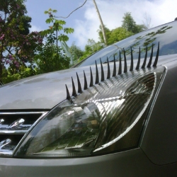 Les Cils, a campaign to humanize cars by A criação. These detachable eyelashes for cars are easily added or removed to your headlights as they attach with magnets. (Another option was seen on #33869)