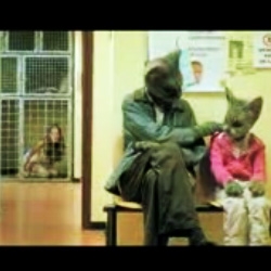 Great social ad for Animal Protection Amsterdam.
