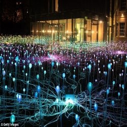 Artist's bright idea to create magical field of 5,000 Christmas lights. Installation by Bruce Munro at the Holbourne Museum, Bath.