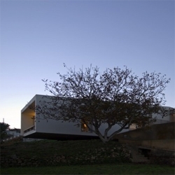 Potuguese architects ARX designed this bifid house in the countryside. The house splits to make room for an existing tree while generating new views of the surrounding landscape.