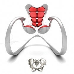 Ergonomic rocking chair  by Iranian designer Pouyan Mokhtarani emulates the natural design of the human pelvis. For the 2008 Andreu World Intl Design Competition.